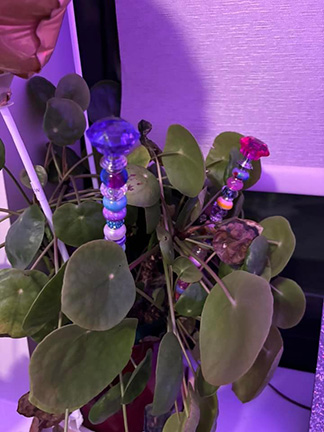 Down To Earth Fairy Wands 1a